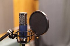 张万子：文娱角度 